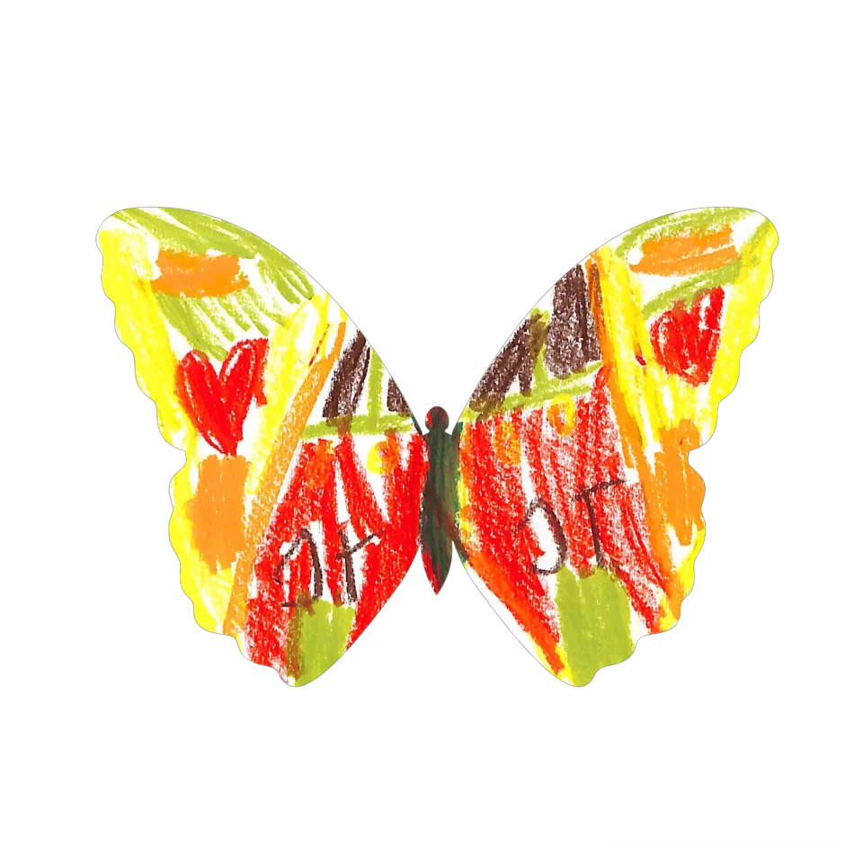 Original Butterfly Image