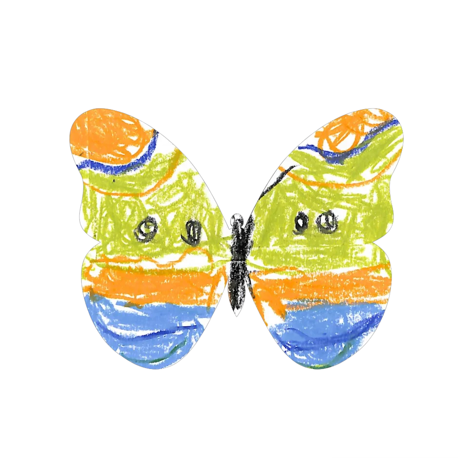 Original Butterfly Image