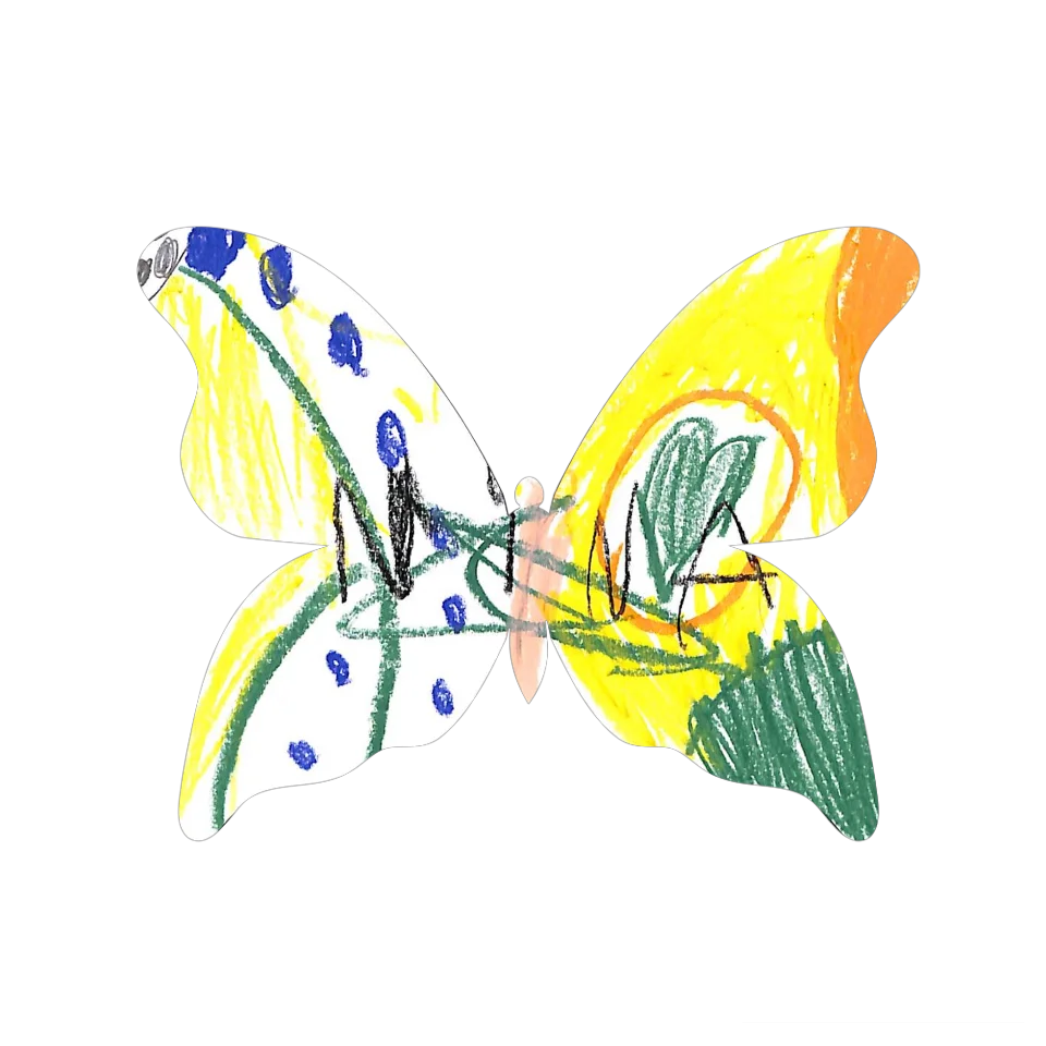 Original Butterfly Image