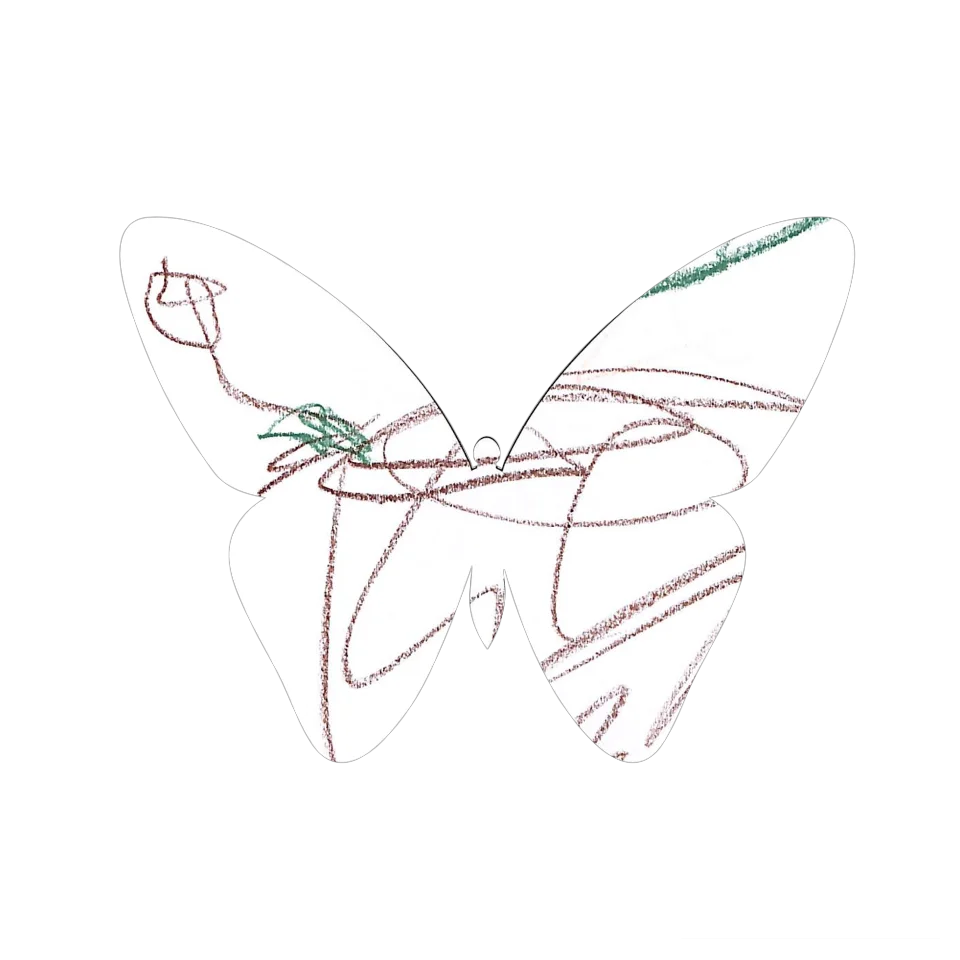 Original Butterfly Image