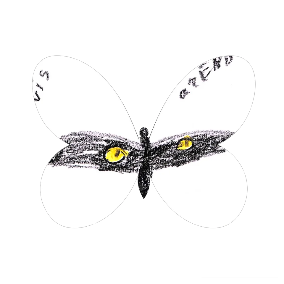 Original Butterfly Image
