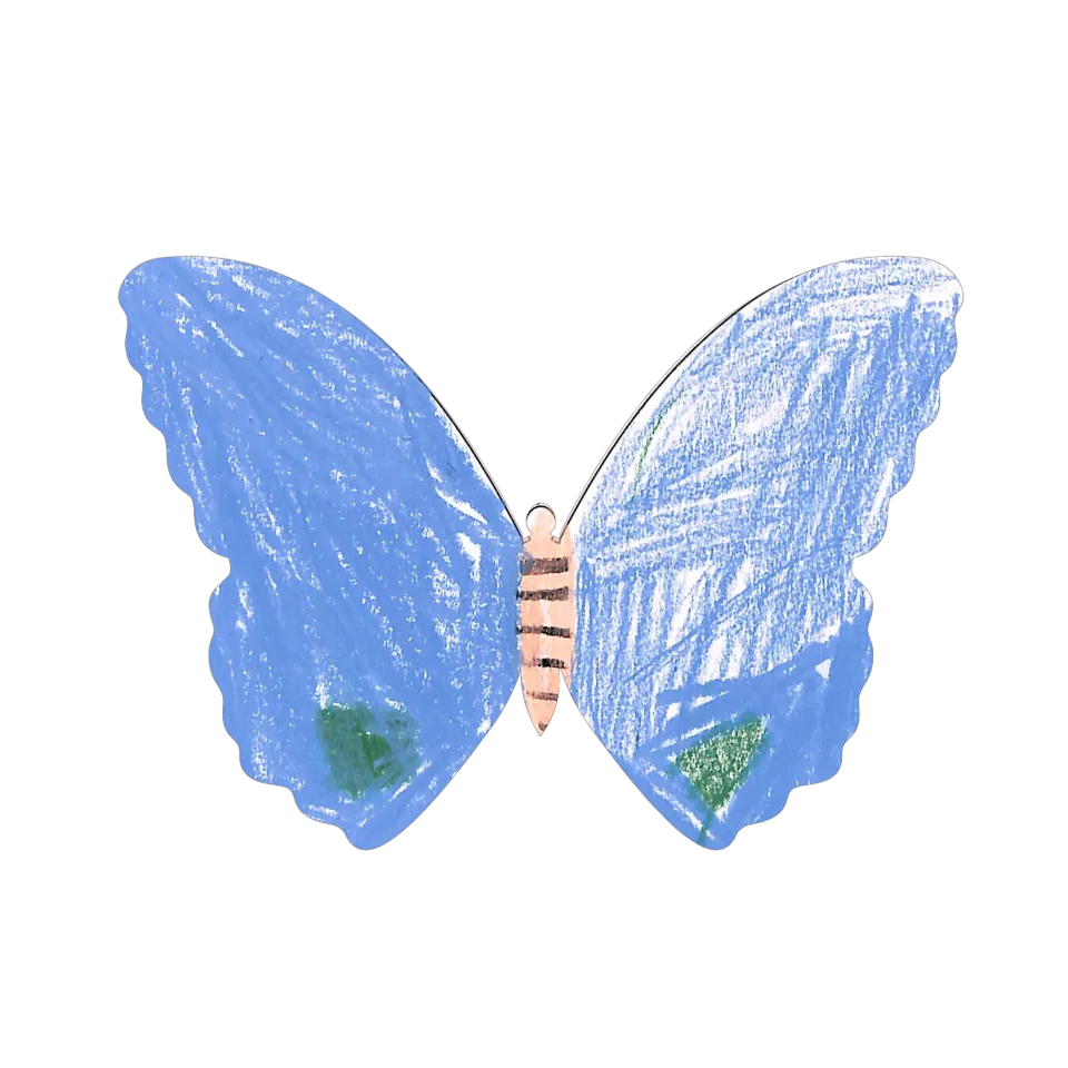 Original Butterfly Image