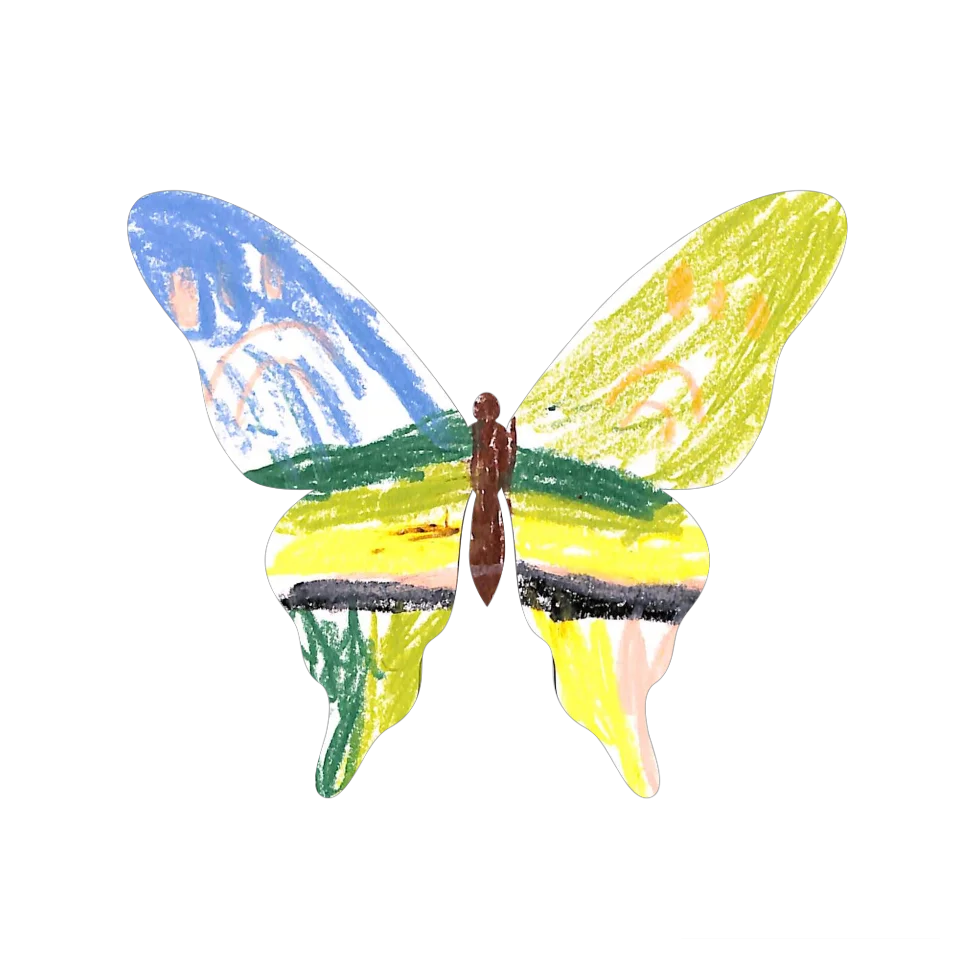 Original Butterfly Image