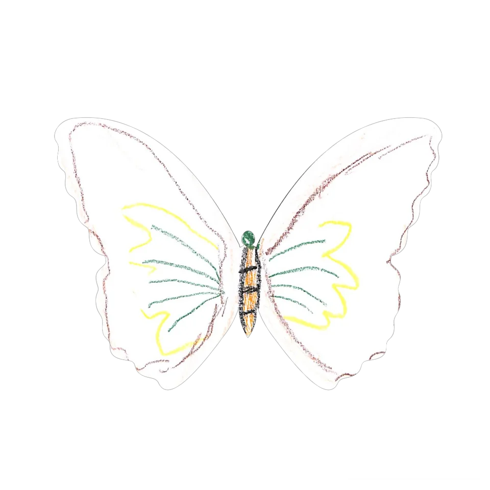 Original Butterfly Image