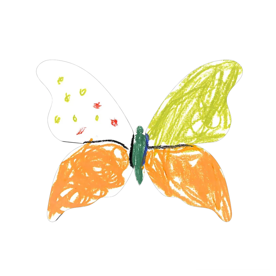 Original Butterfly Image