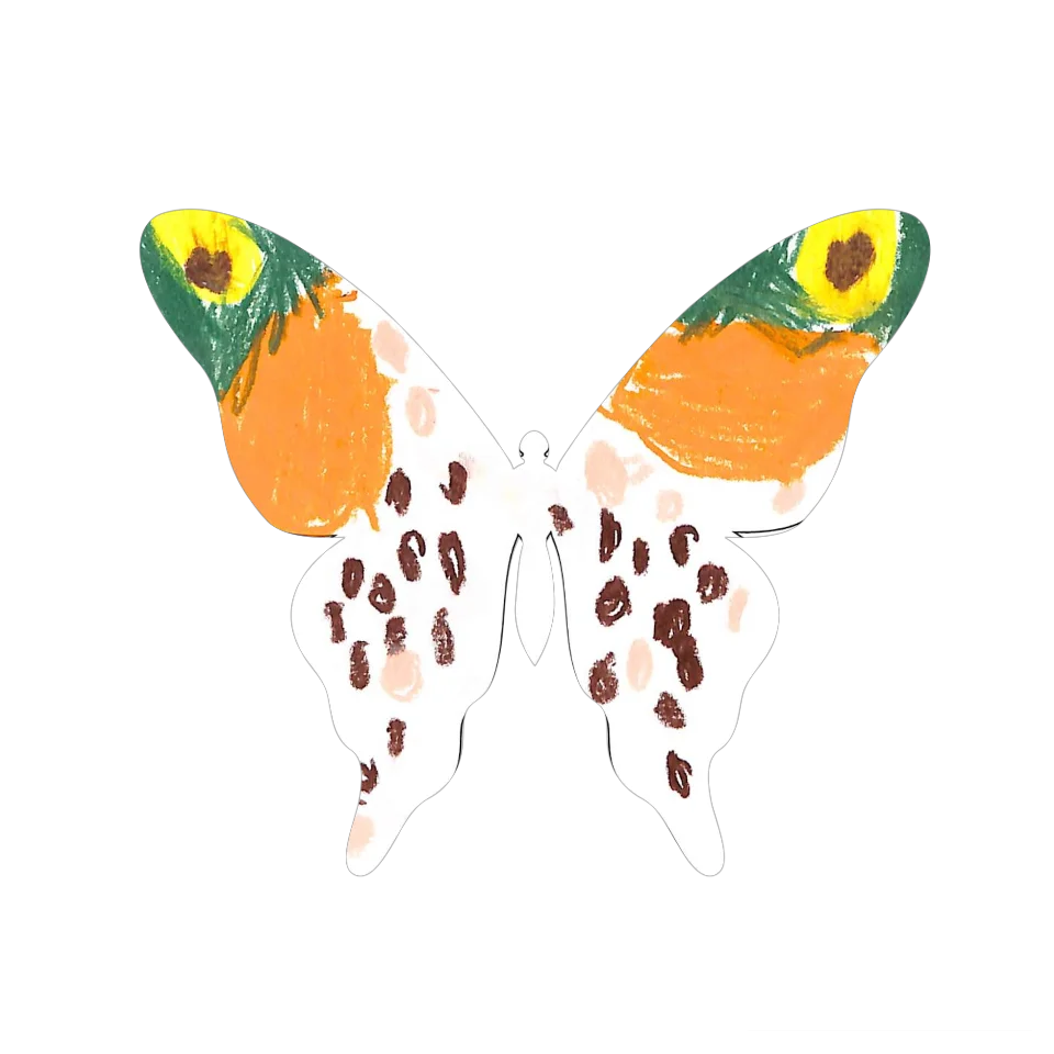 Original Butterfly Image