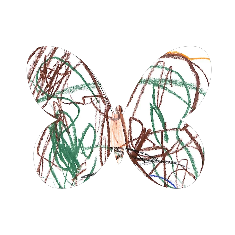 Original Butterfly Image