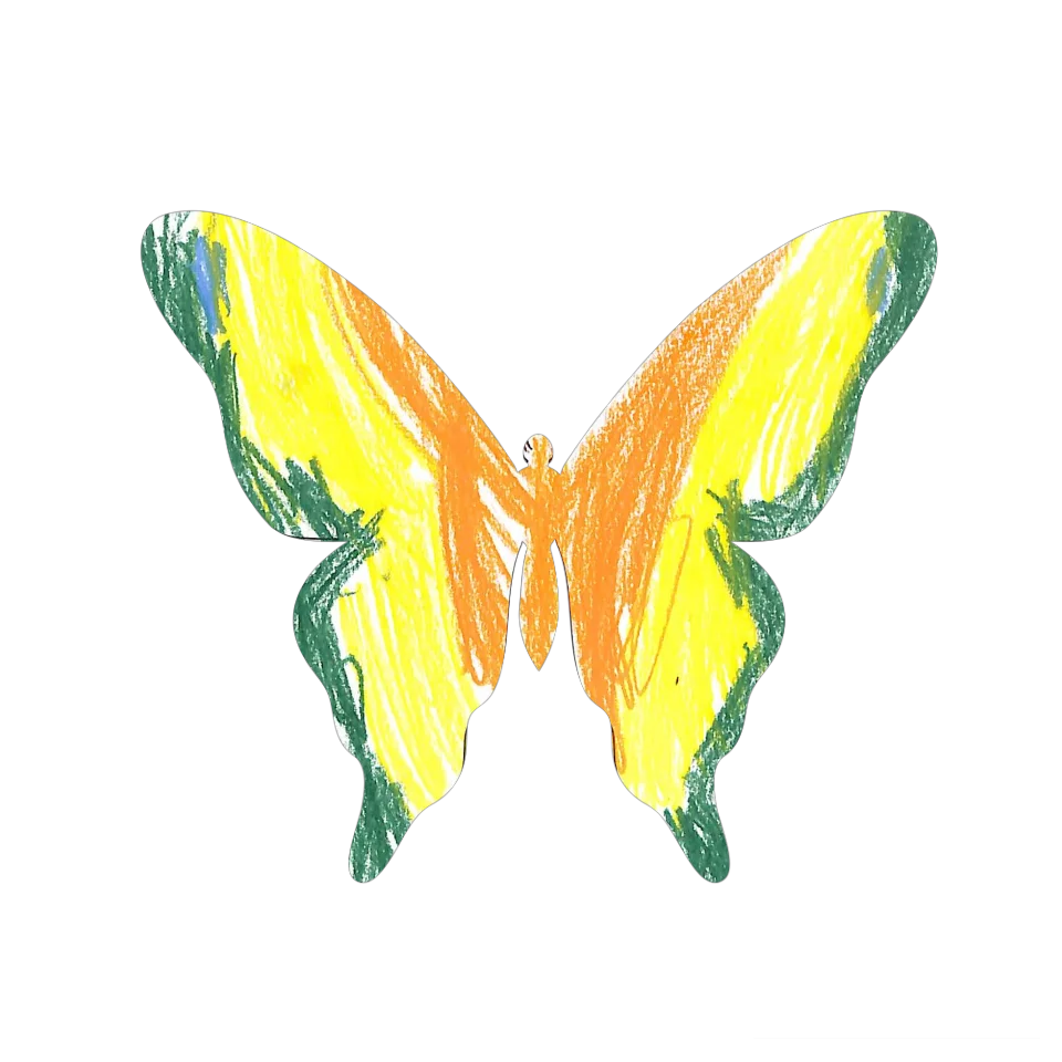 Original Butterfly Image