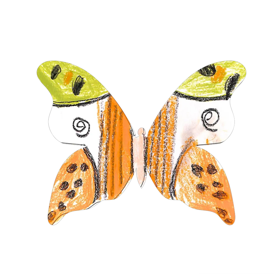 Original Butterfly Image