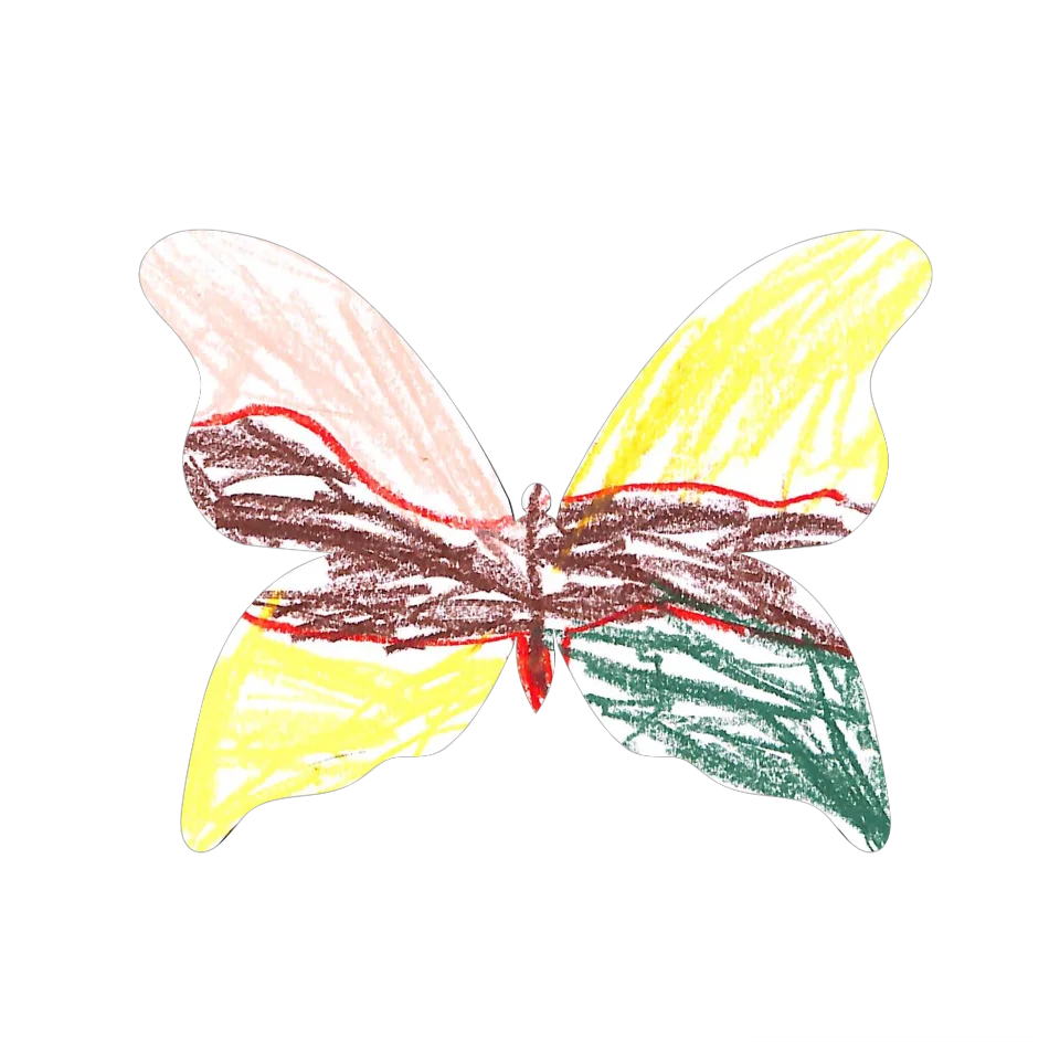 Original Butterfly Image