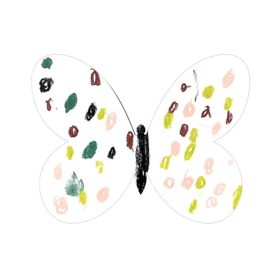 Original Butterfly Image