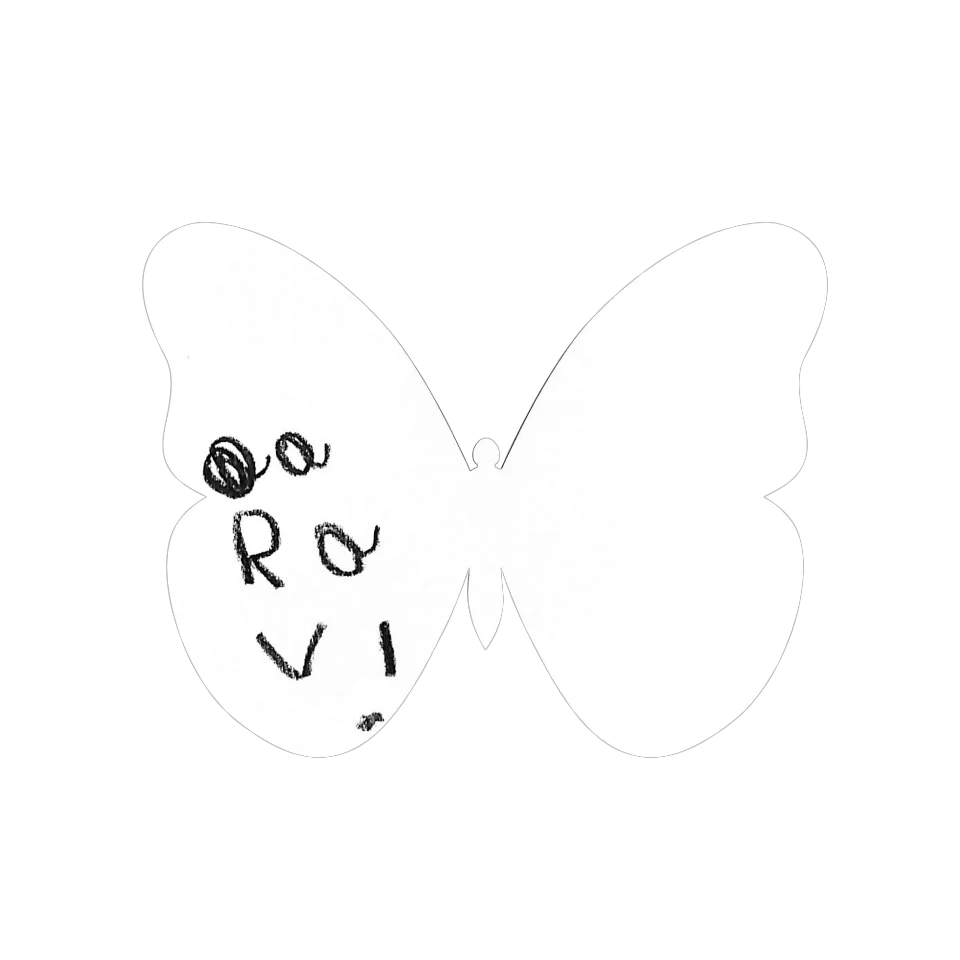 Original Butterfly Image