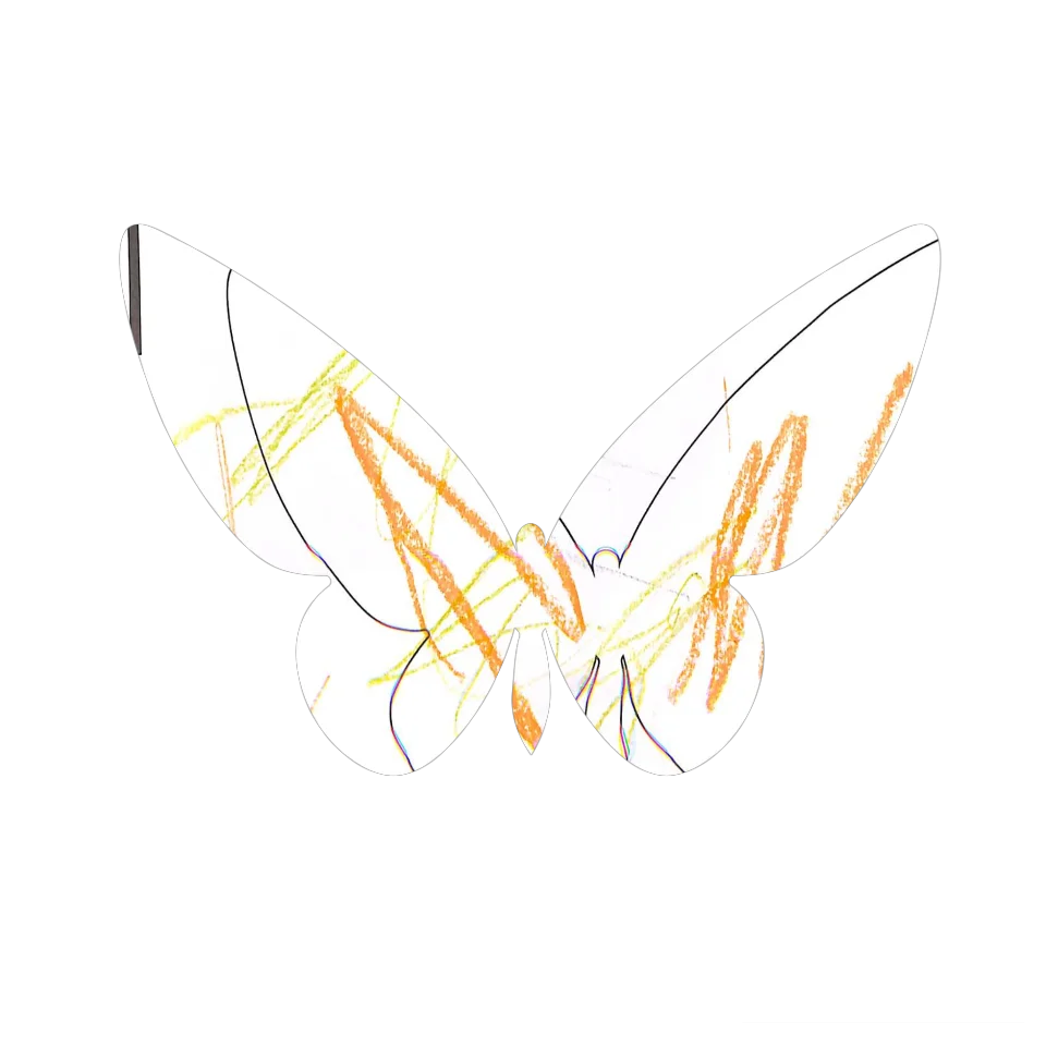 Original Butterfly Image