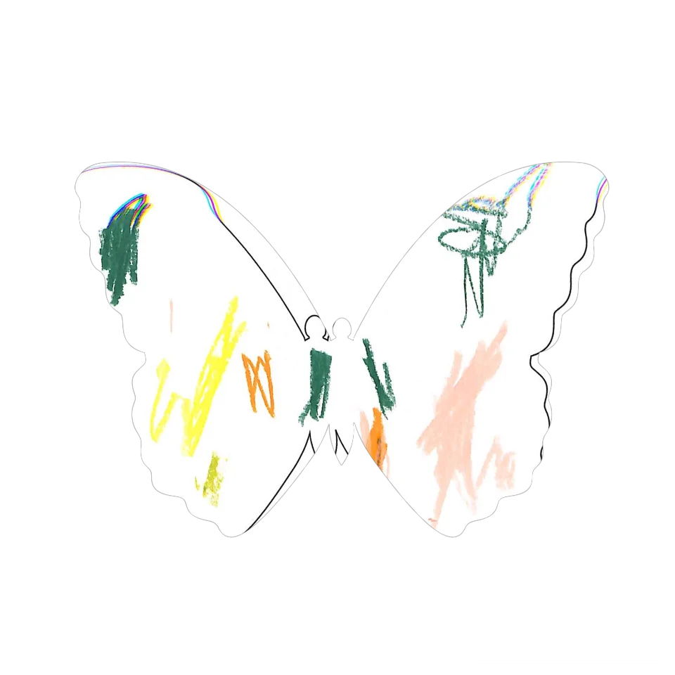Original Butterfly Image