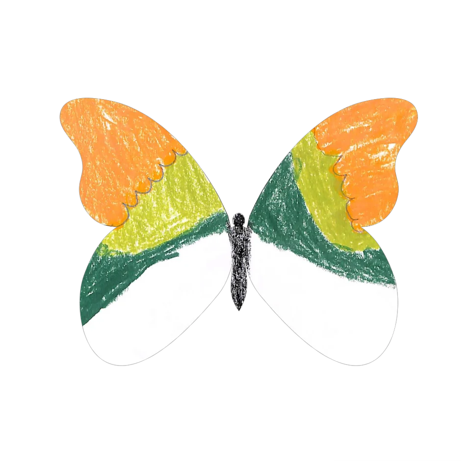 Original Butterfly Image