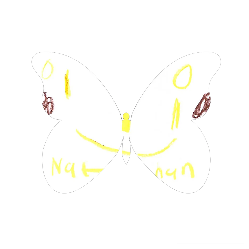 Original Butterfly Image