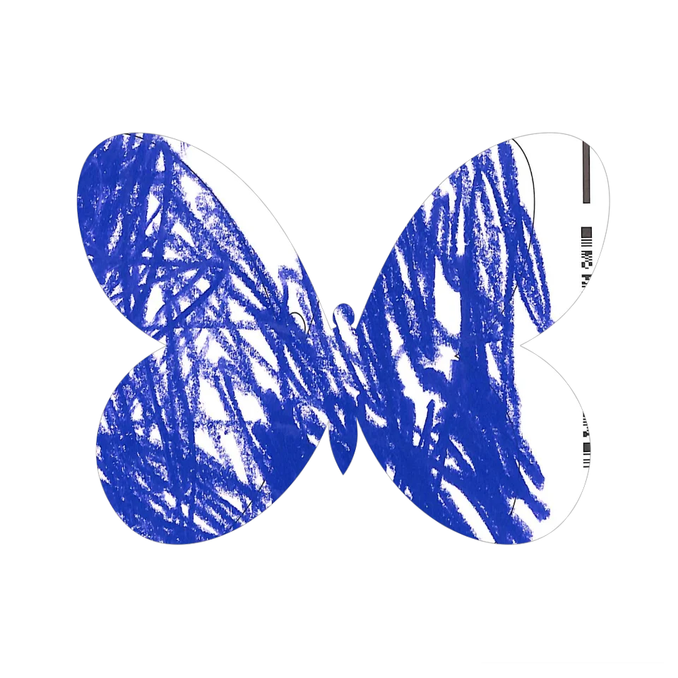 Original Butterfly Image