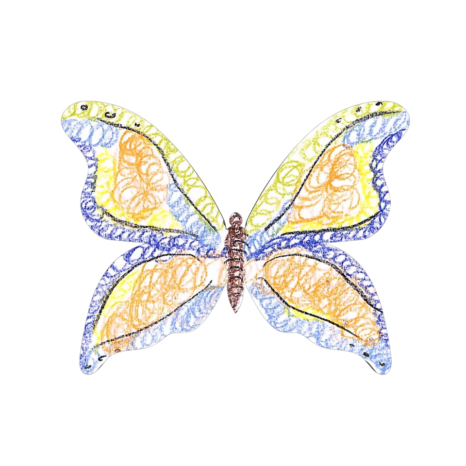 Original Butterfly Image