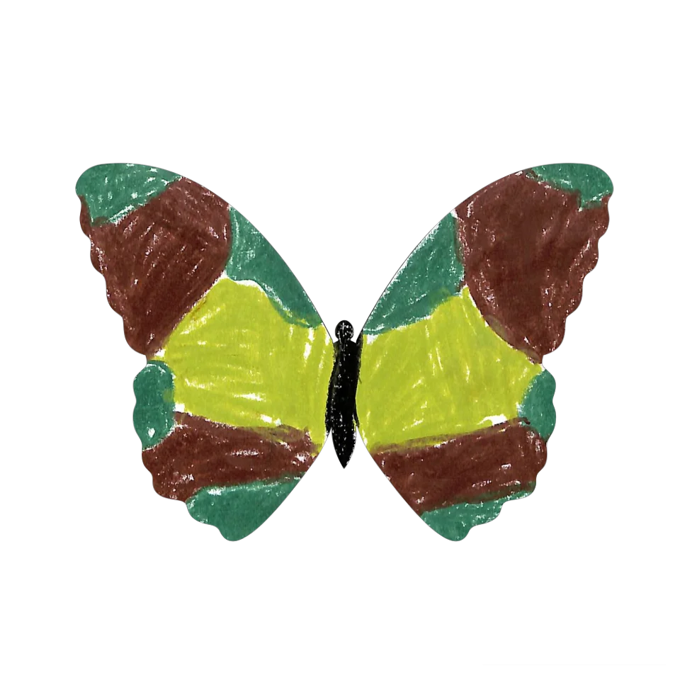 Original Butterfly Image