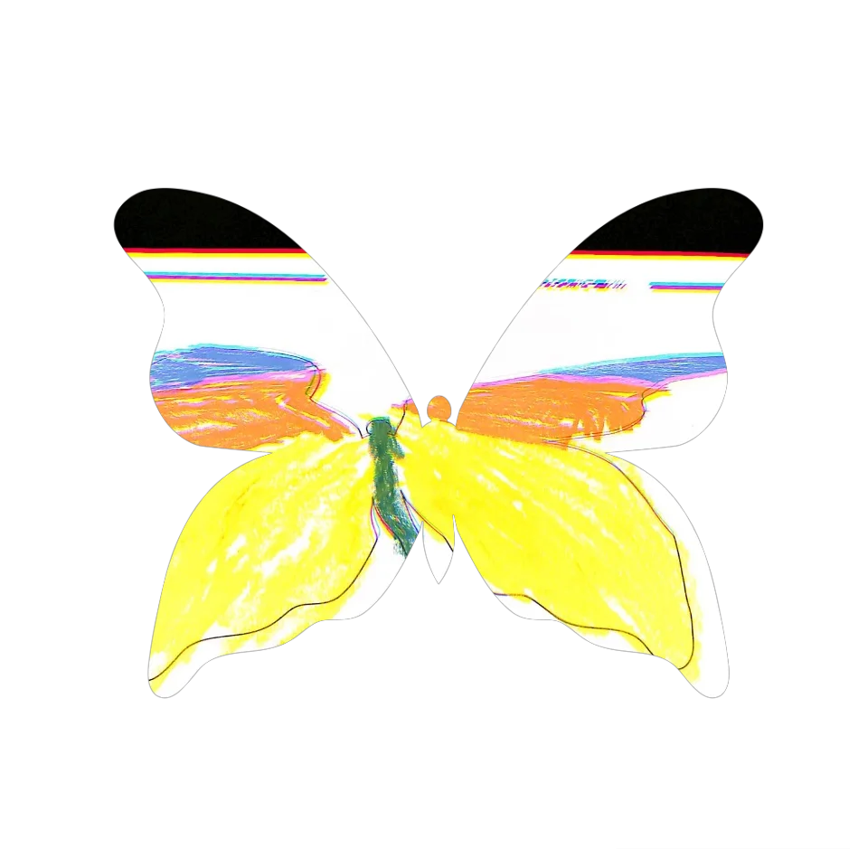 Original Butterfly Image