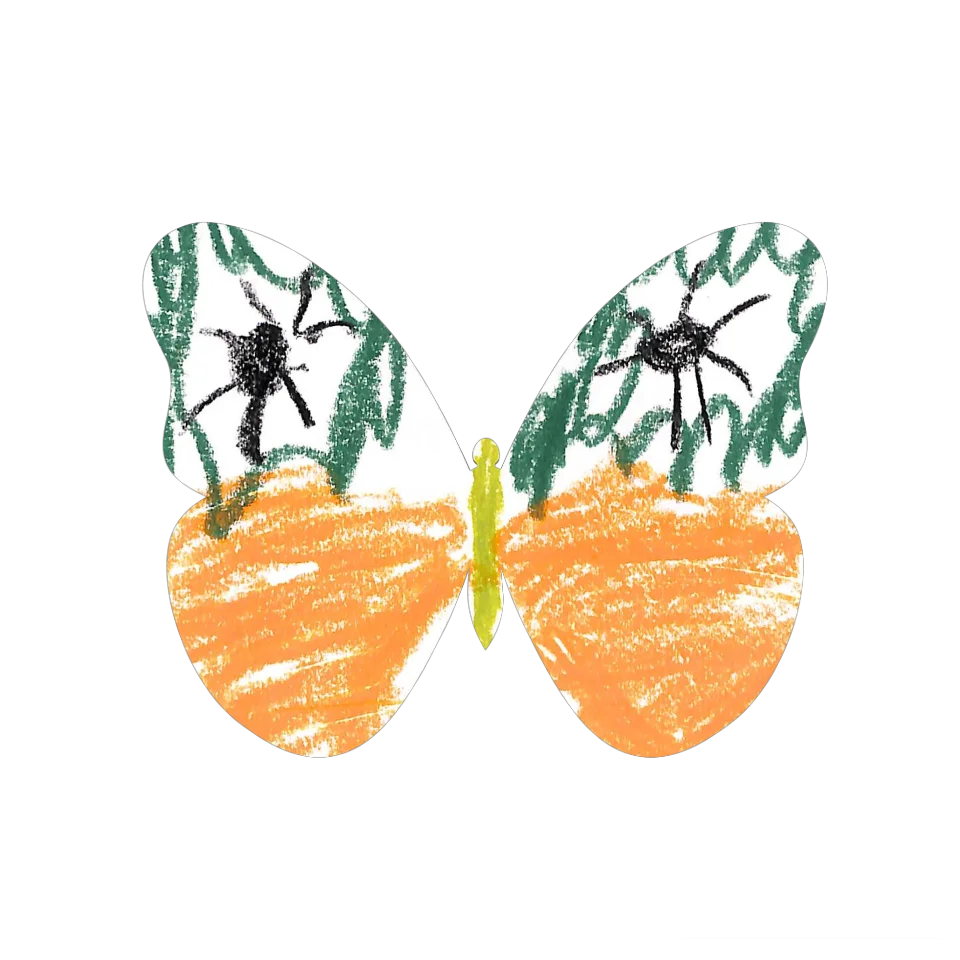 Original Butterfly Image