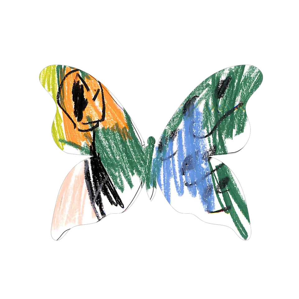 Original Butterfly Image