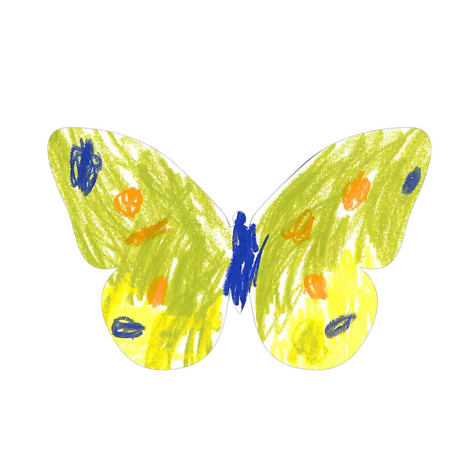 Original Butterfly Image
