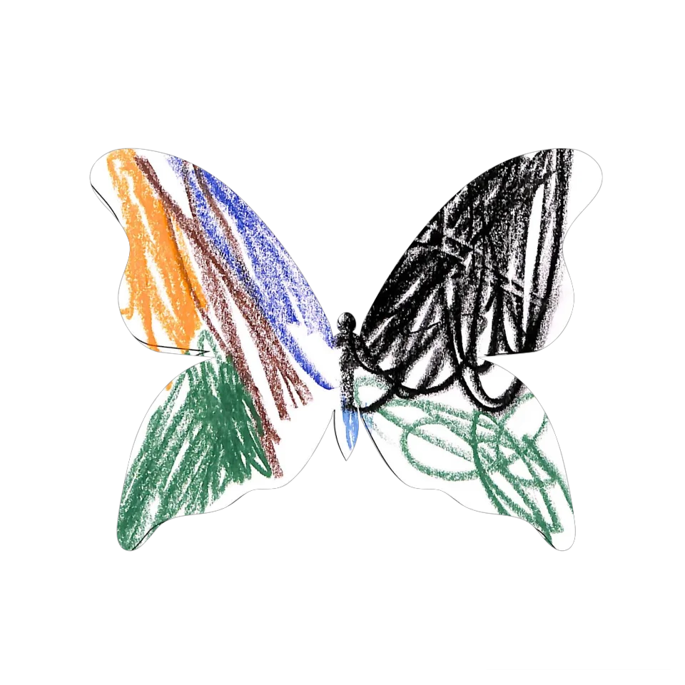 Original Butterfly Image