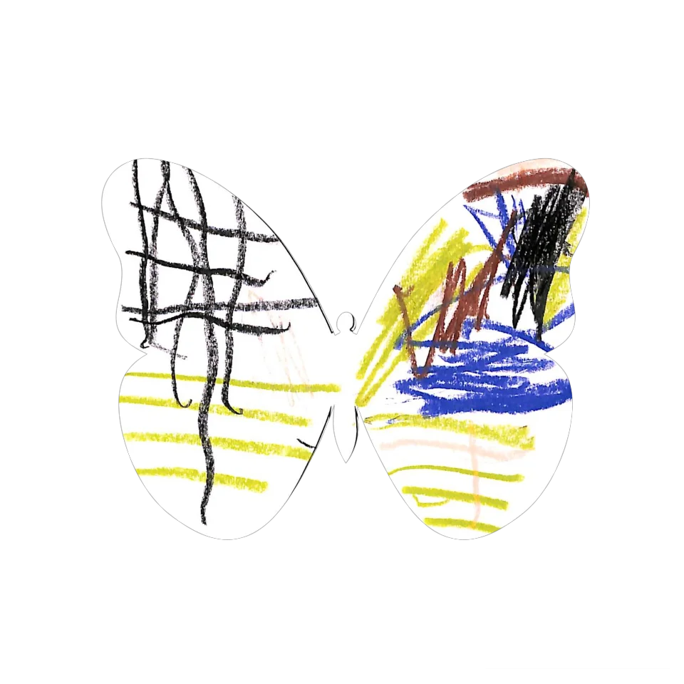 Original Butterfly Image