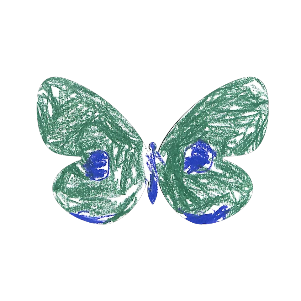 Original Butterfly Image