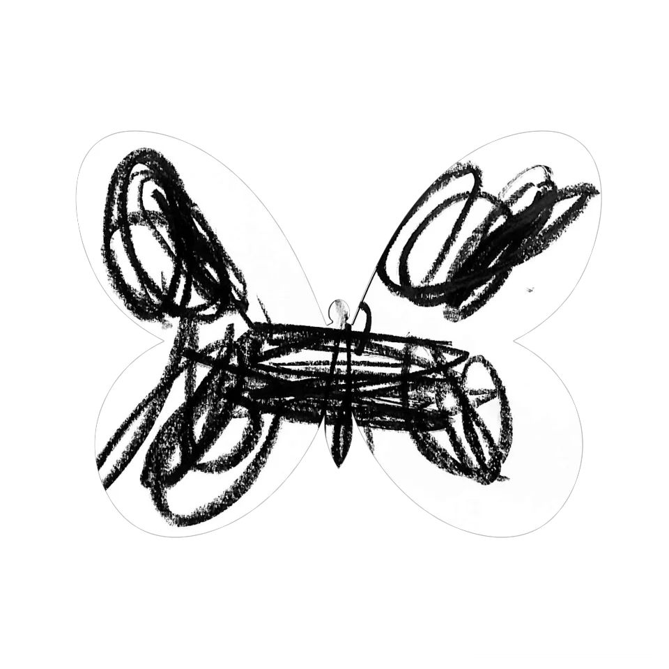 Original Butterfly Image