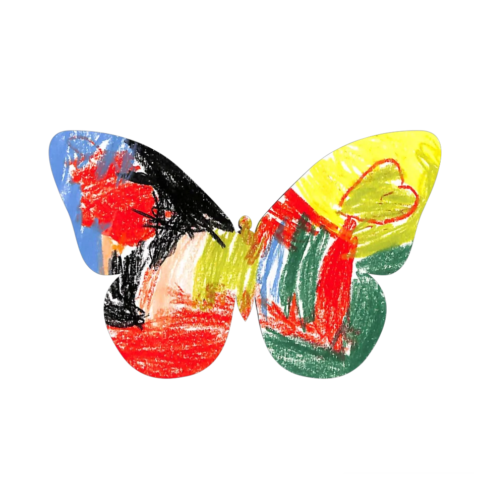 Original Butterfly Image
