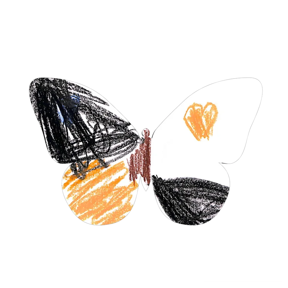 Original Butterfly Image