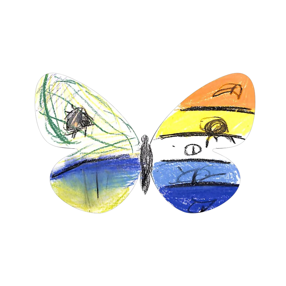 Original Butterfly Image