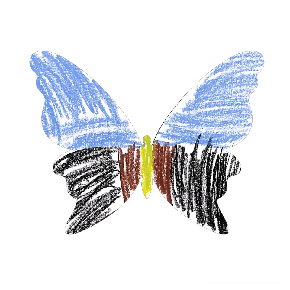 Original Butterfly Image