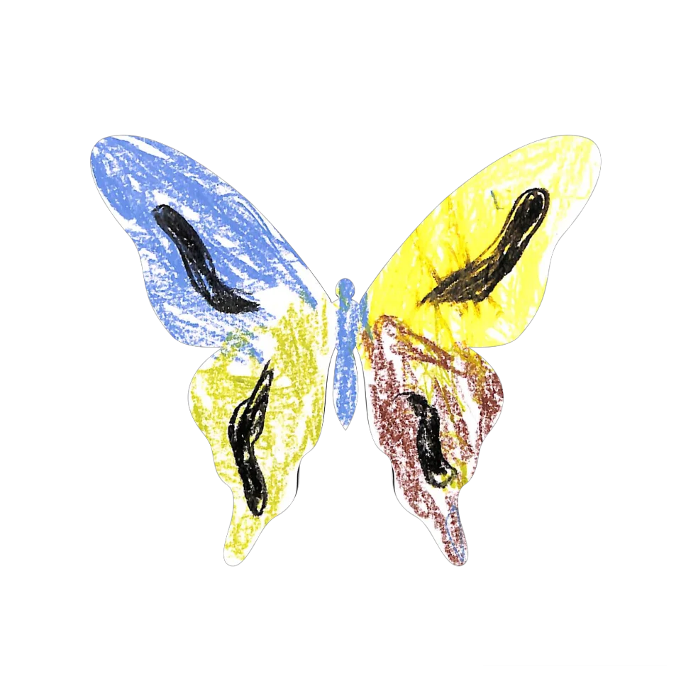 Original Butterfly Image