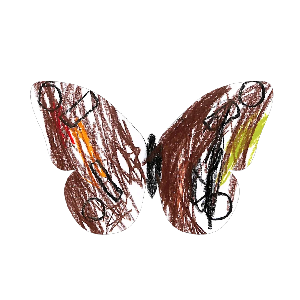 Original Butterfly Image