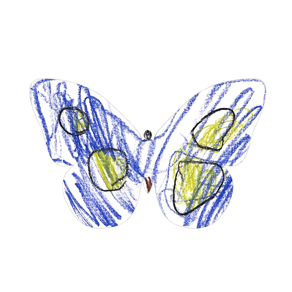 Original Butterfly Image