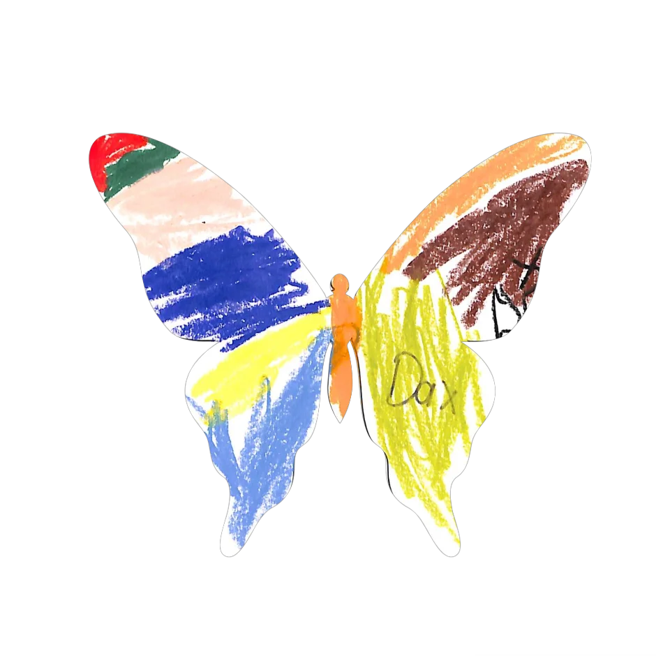 Original Butterfly Image