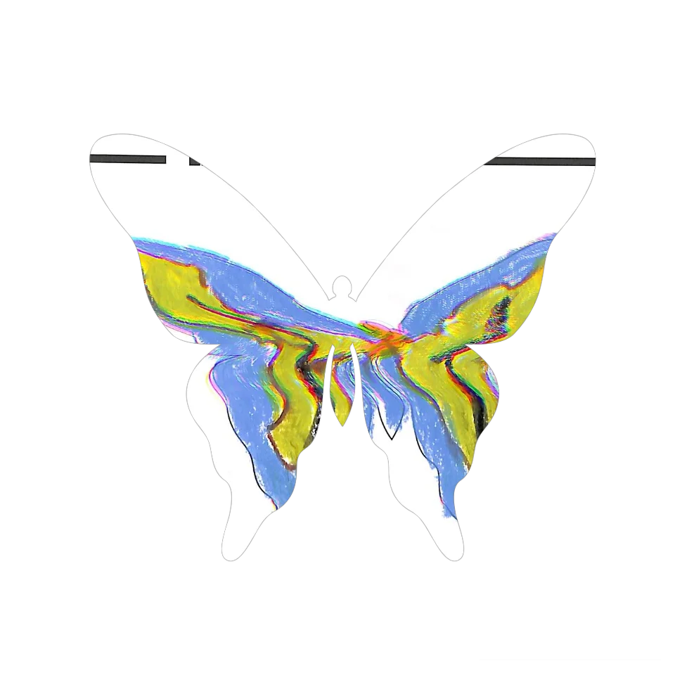 Original Butterfly Image