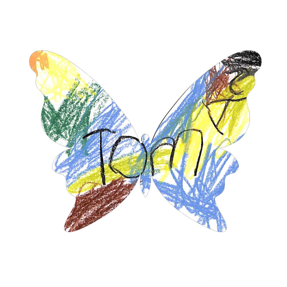 Original Butterfly Image