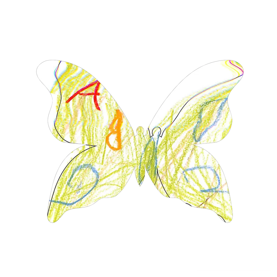 Original Butterfly Image