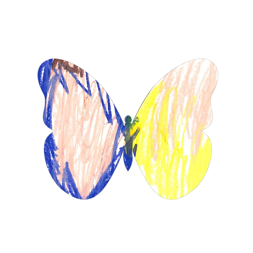 Original Butterfly Image