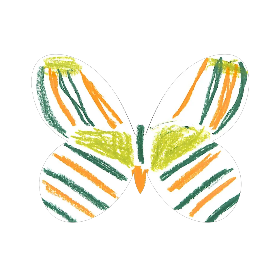 Original Butterfly Image