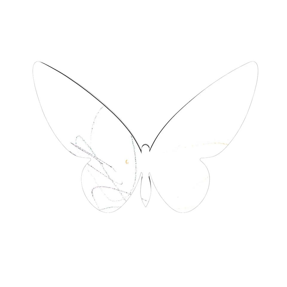 Original Butterfly Image