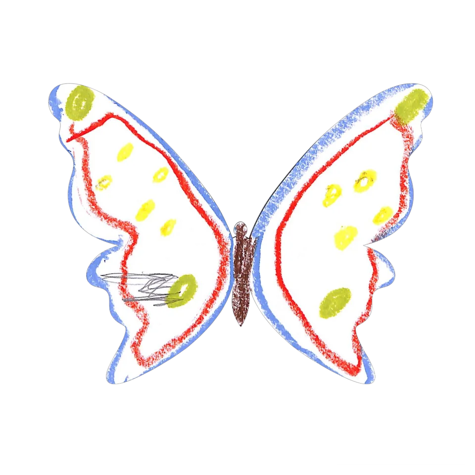 Original Butterfly Image