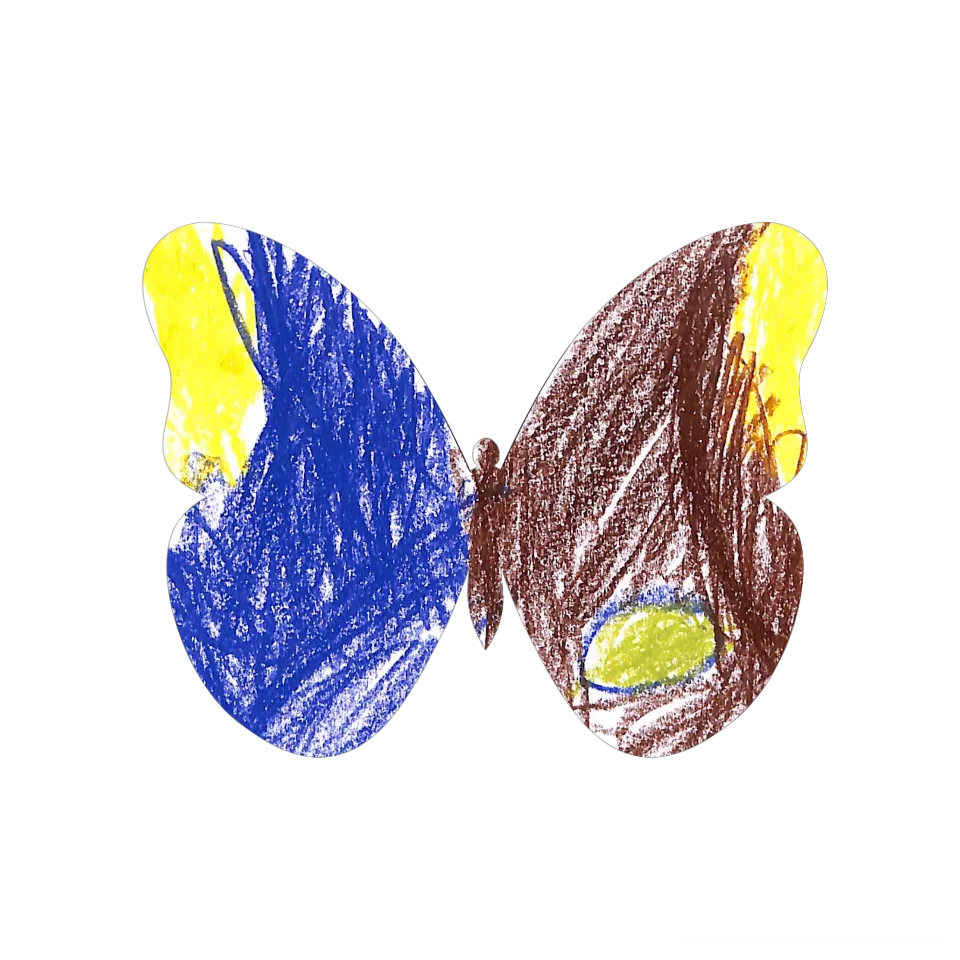 Original Butterfly Image