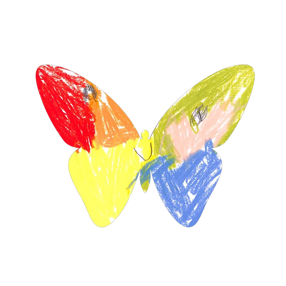 Original Butterfly Image
