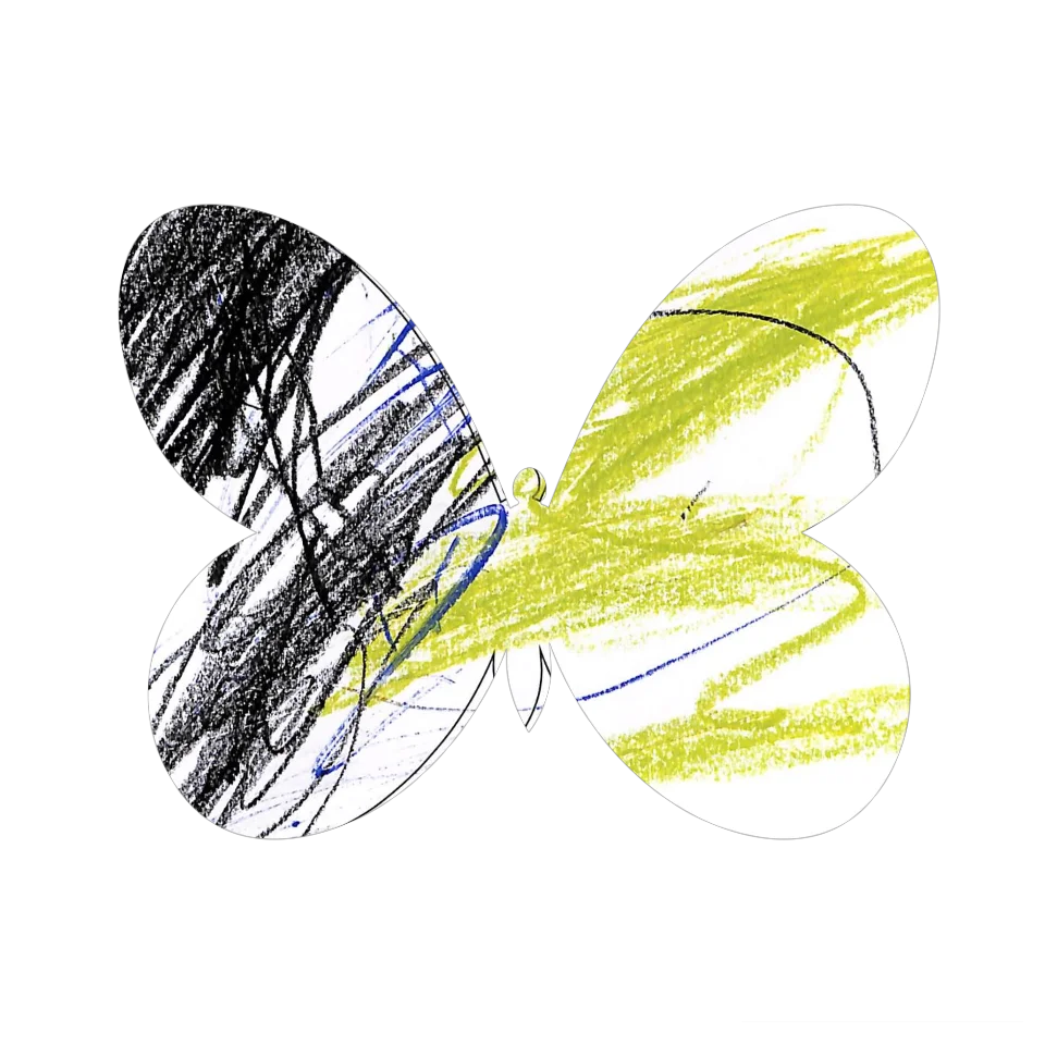 Original Butterfly Image