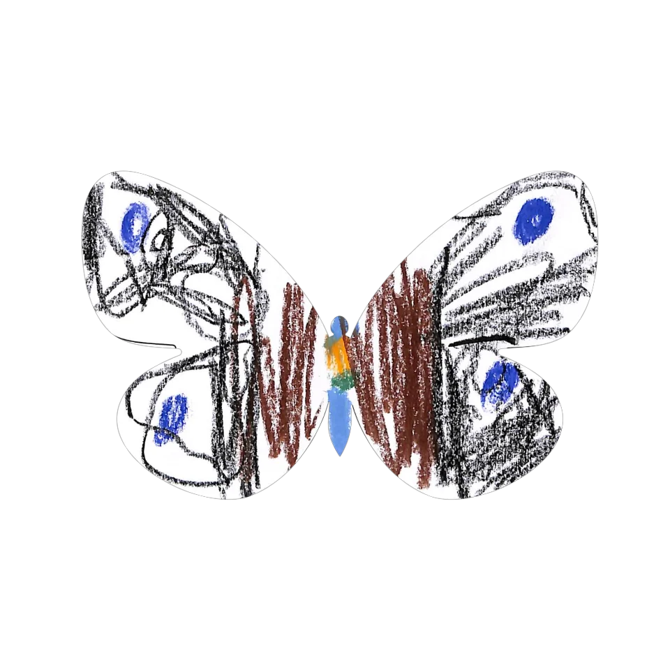 Original Butterfly Image